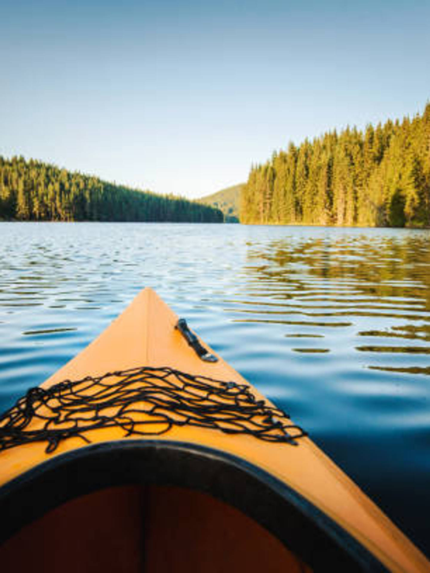 bright orange kayak, calm blue waters, dense green pine forests, Full HD Phone Wallpaper