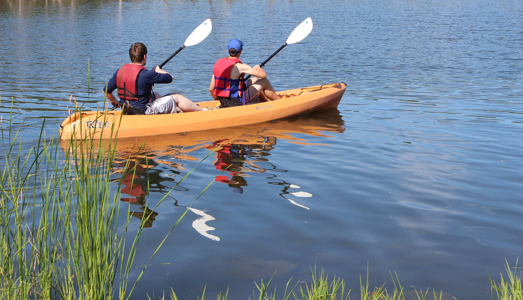 bright orange kayak, calm blue water, green reeds, HD Desktop Wallpaper