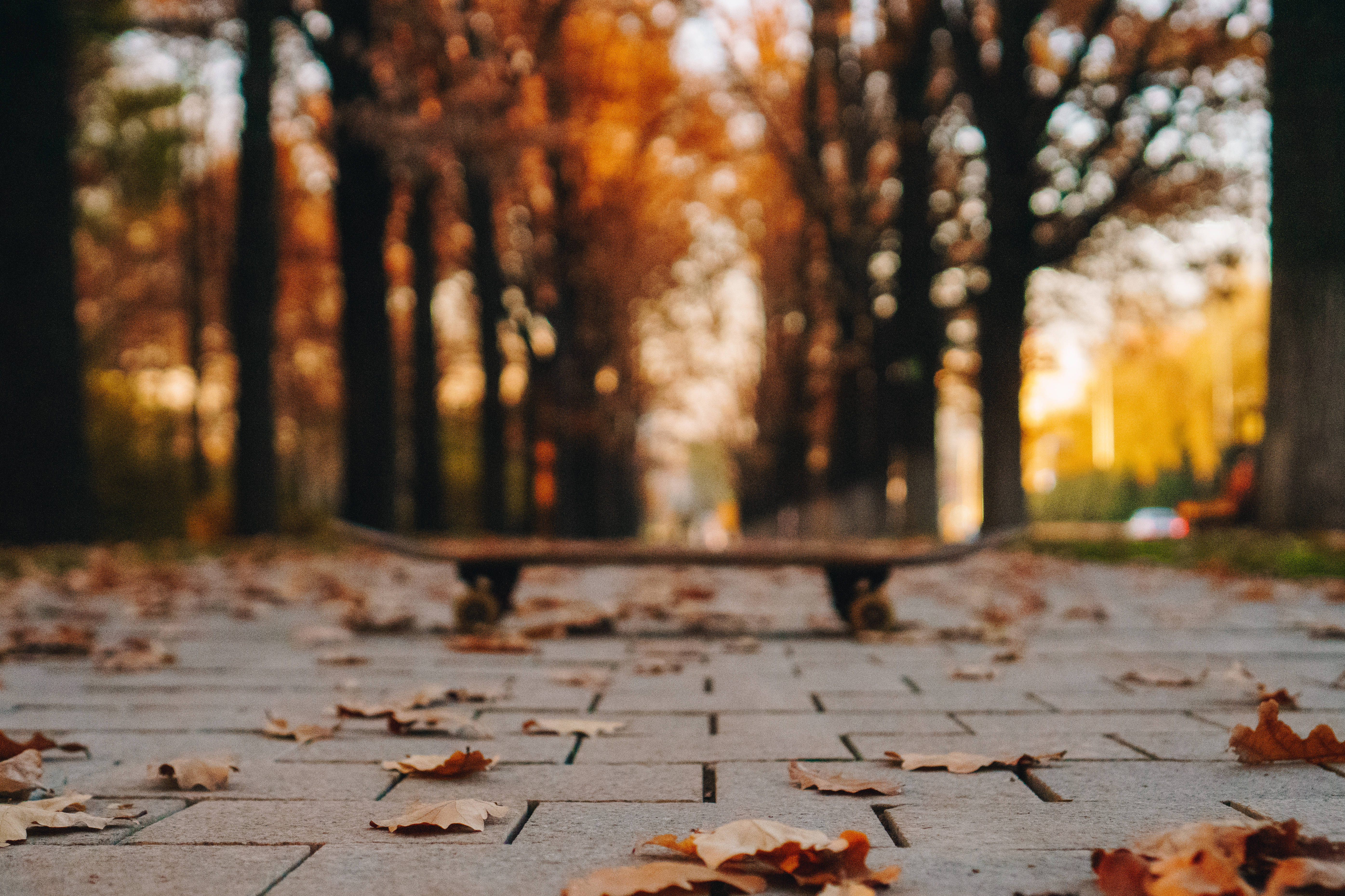 Kazakhstan, empty pathway, stone path, 5K Desktop Wallpaper