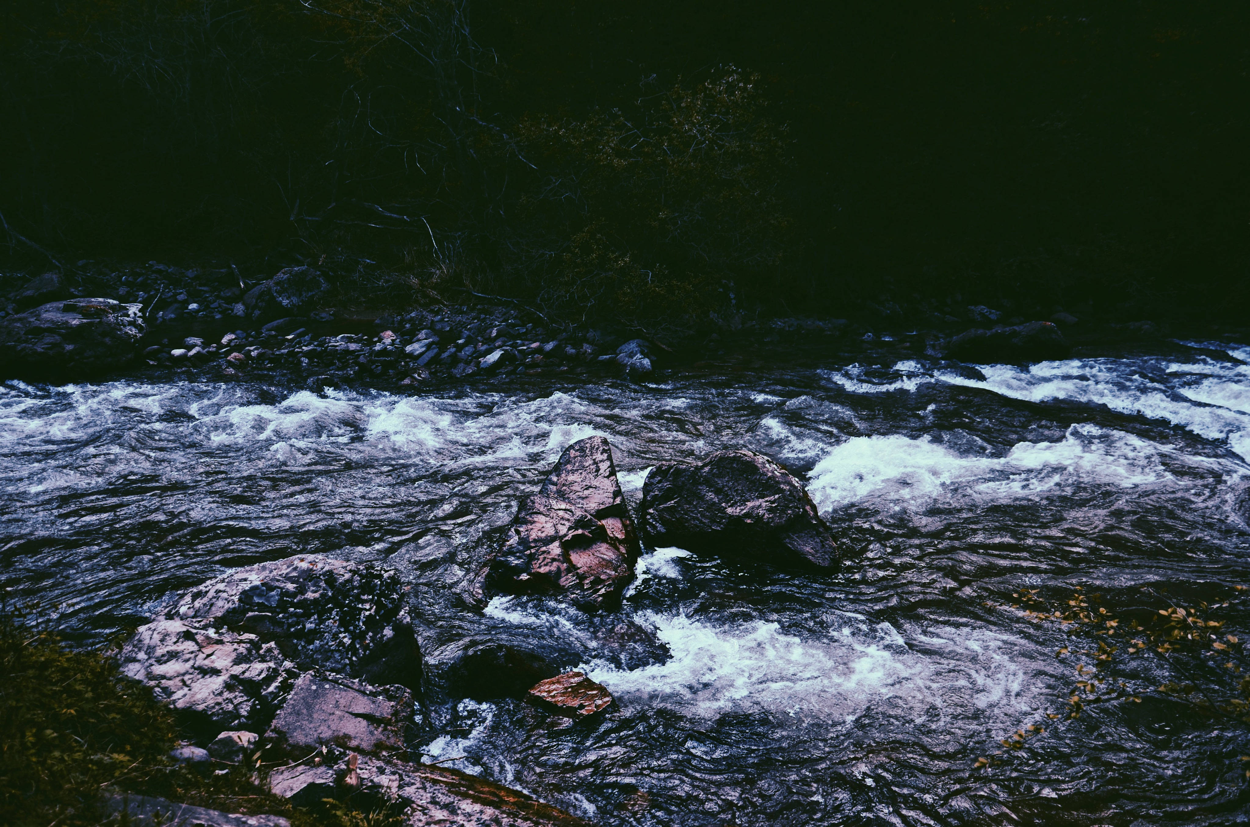 swirling river, Kazakhstan, dark forested river, 4K Desktop Wallpaper