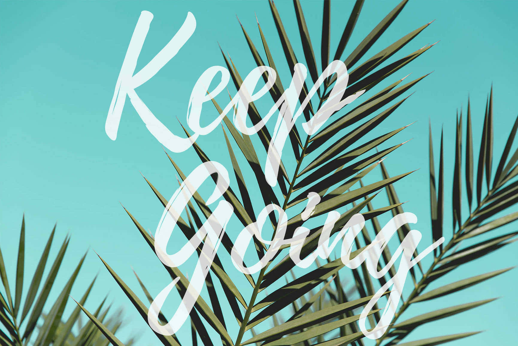Keep Going, vibrant green palm fronds, clear turquoise sky, HD Desktop Wallpaper