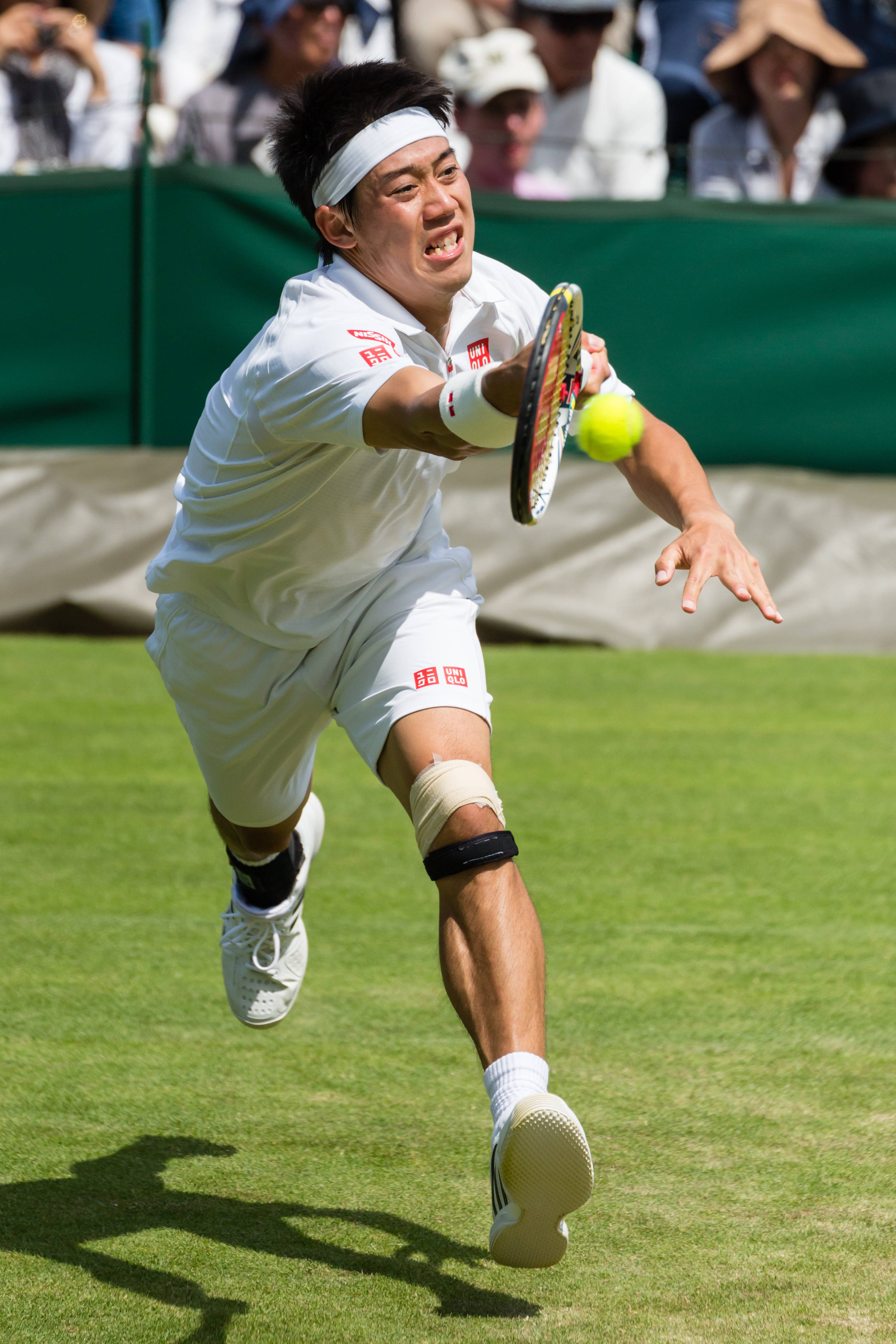 Kei Nishikori, white gear, grass court, 4K Phone Wallpaper