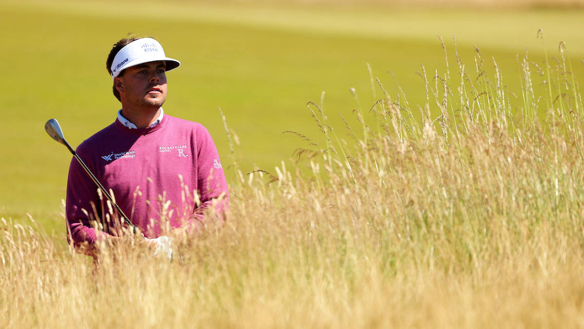 Keith Mitchell, pink sweater, tall golden grass, SD Desktop Wallpaper