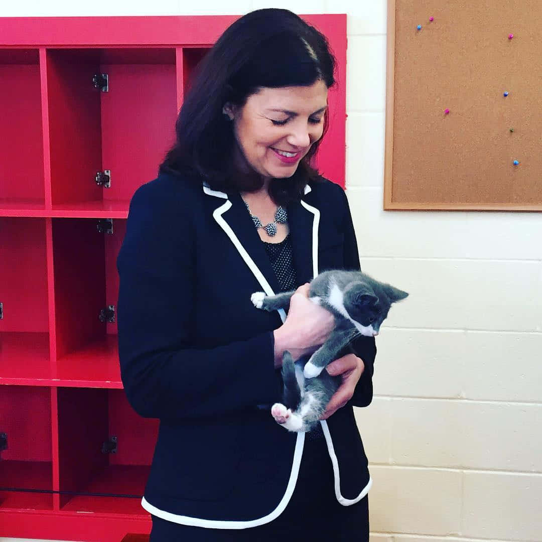 Kelly Ayotte, black blazer with white trim, gray and white kitten, SD Desktop Wallpaper