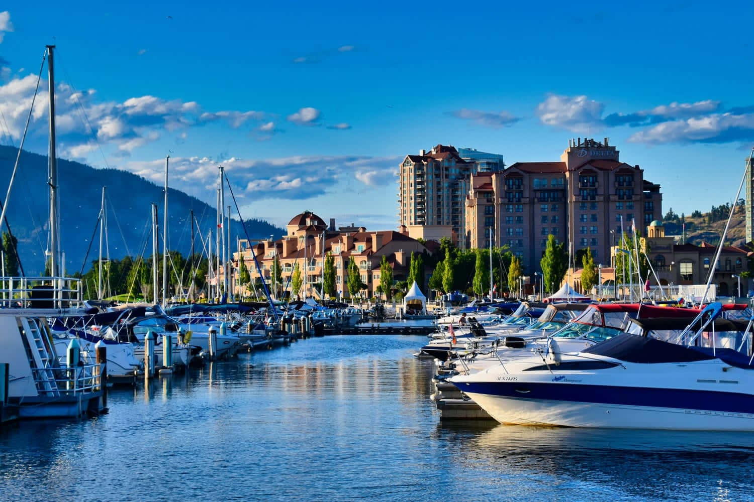Kelowna Beach, sunny marina, white sailboats, HD Desktop Wallpaper