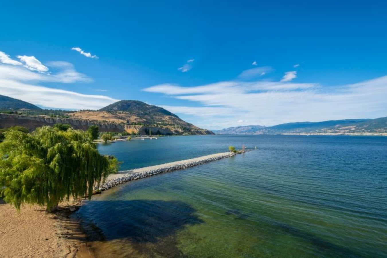 Kelowna, lake, weeping willow, HD Desktop Wallpaper