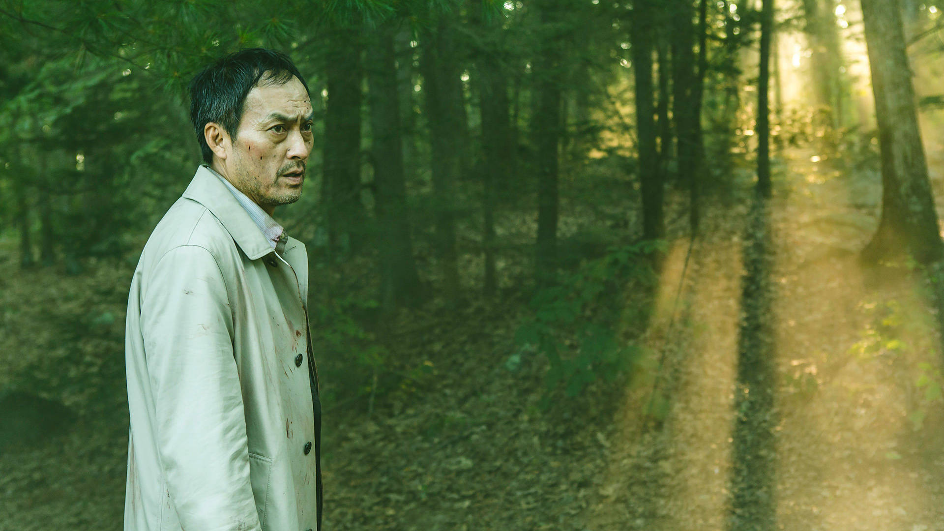 Ken Watanabe, The Sea of Trees, 2015, Full HD Desktop Wallpaper