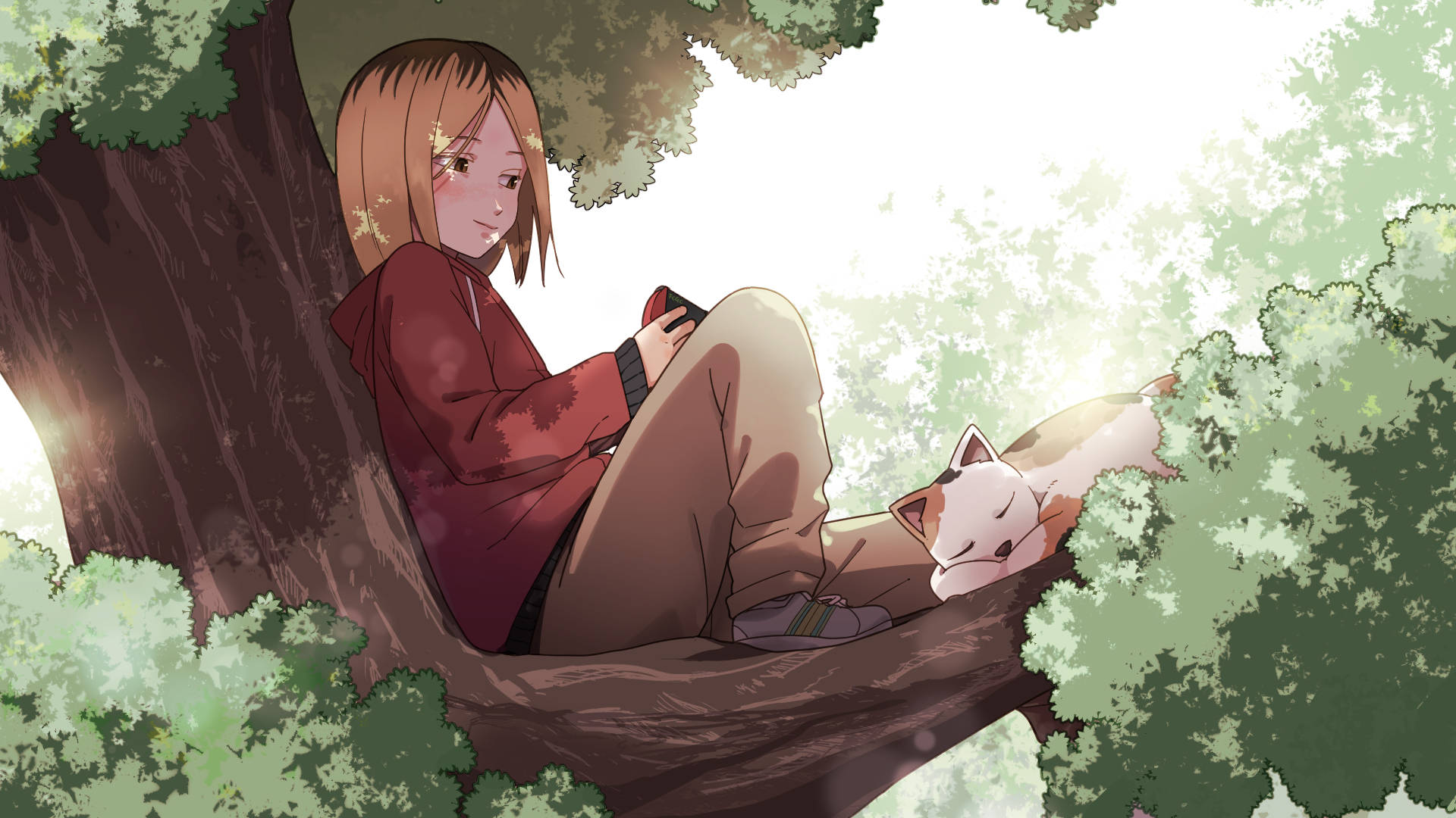Kenma, red hoodie, tree branch, Full HD Desktop Wallpaper