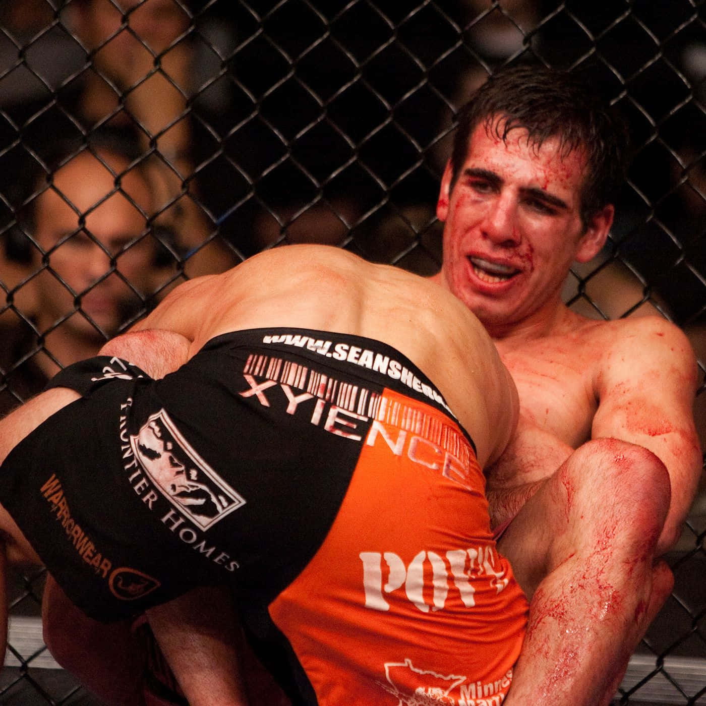 Kenny Florian, blood, MMA fighter, HD Desktop Wallpaper