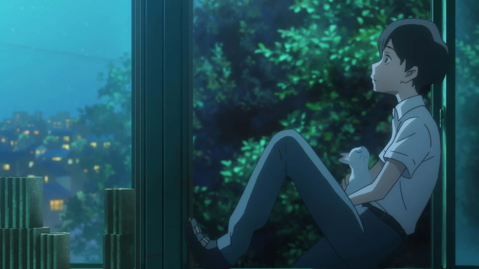 Kento Hinode, anime boy, white cat, Full HD Desktop Wallpaper
