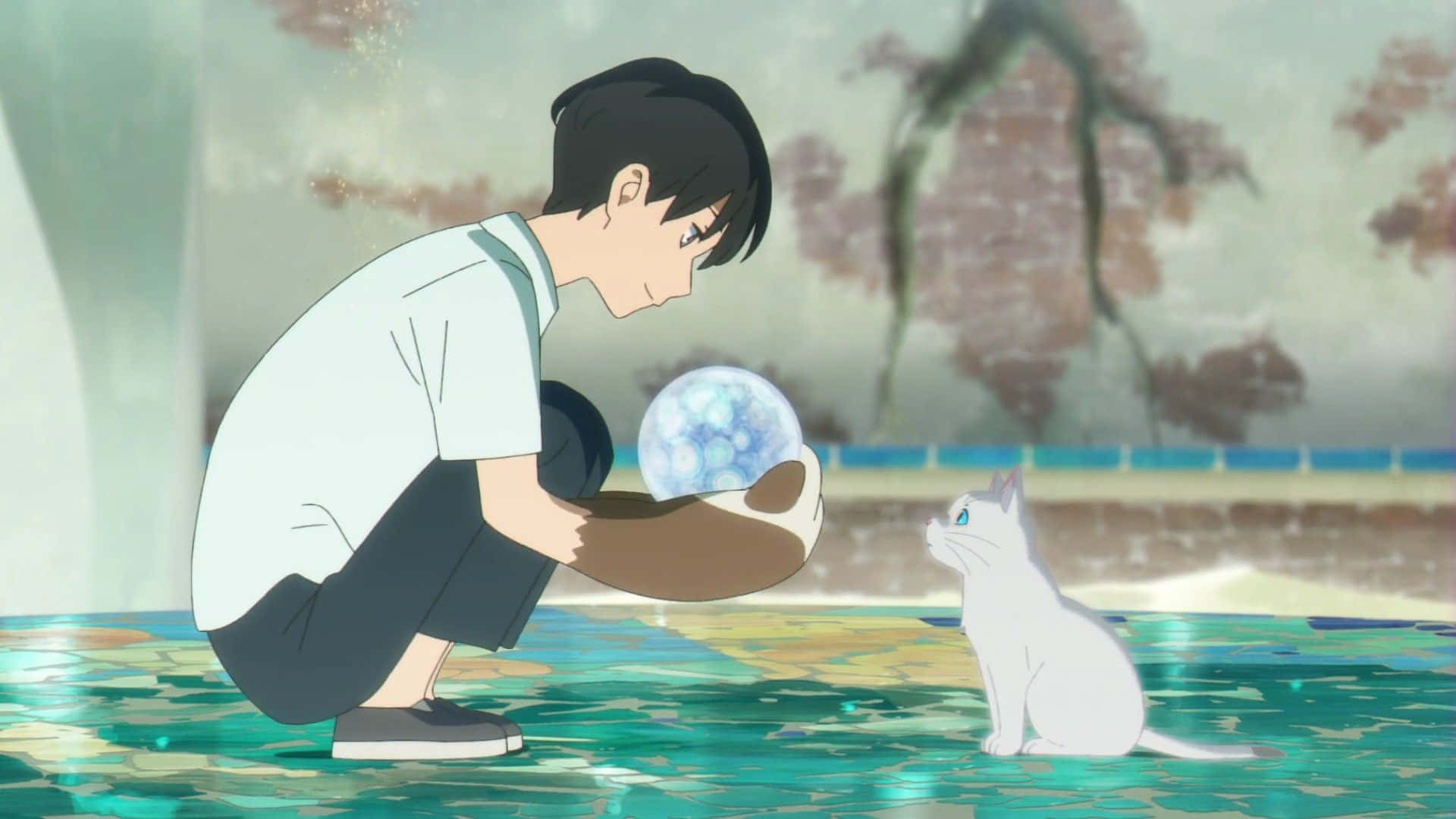 Kento Hinode, glowing orb, white cat, Full HD Desktop Wallpaper