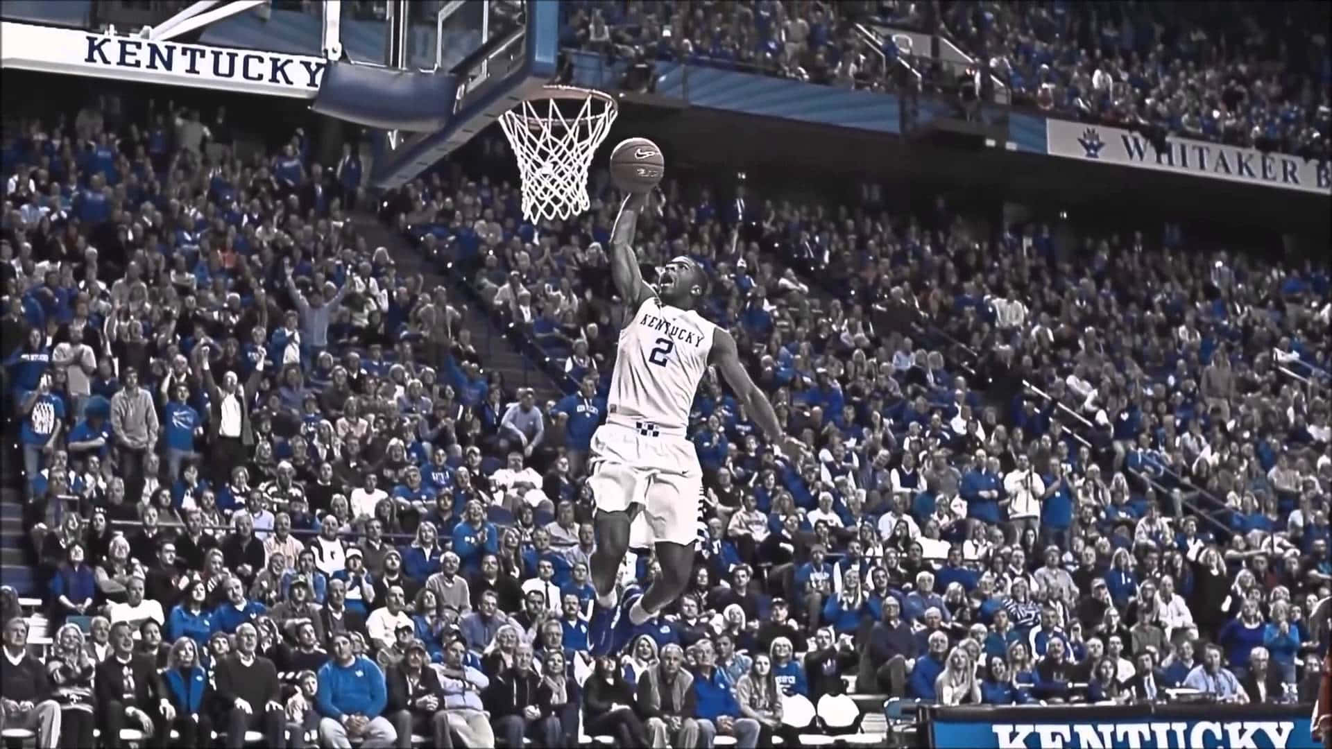 Kentucky Basketball, white Kentucky jersey, blue crowd, Full HD Desktop Wallpaper