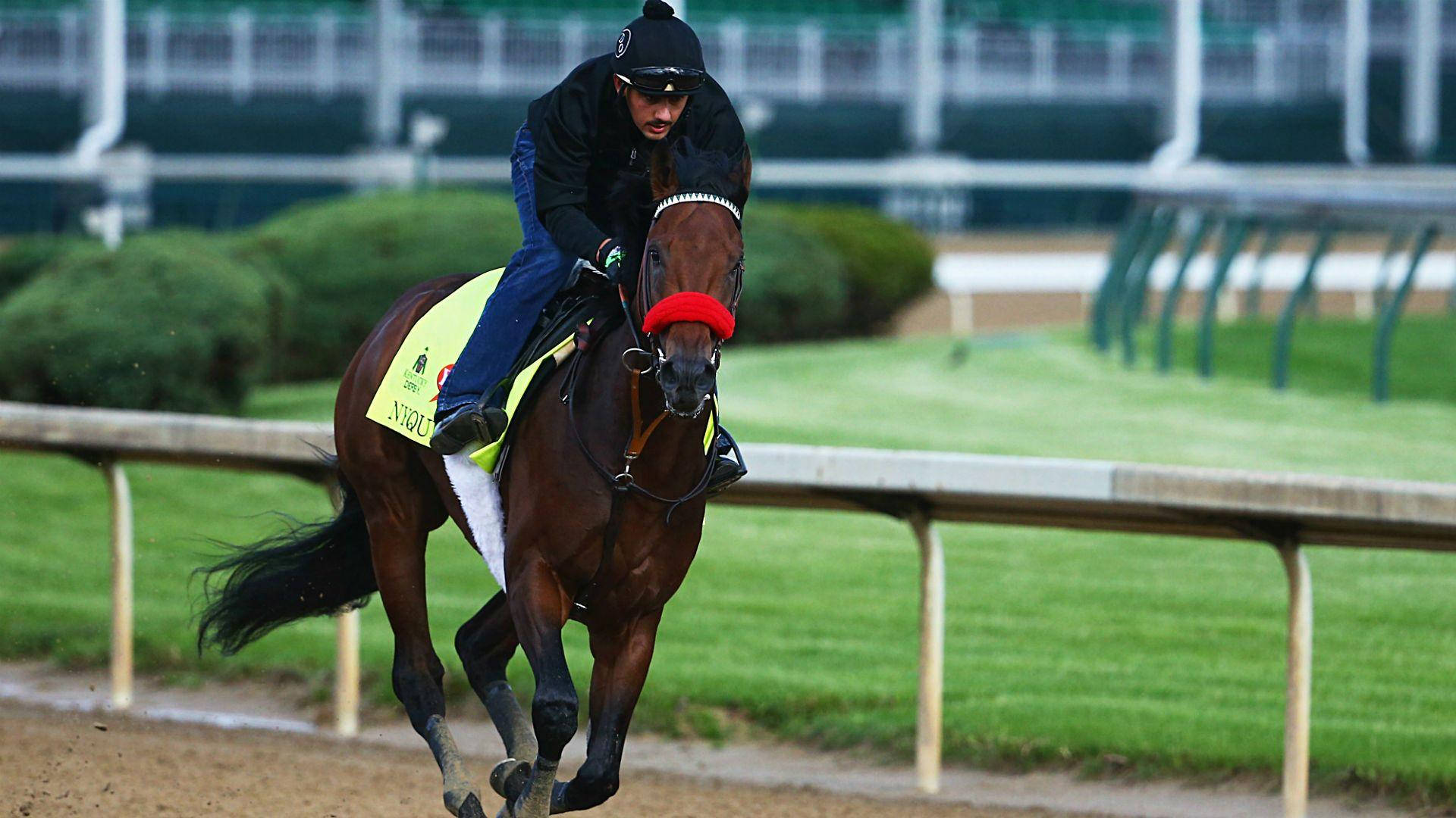 Kentucky Derby, jockey, chestnut racehorse, Full HD Desktop Wallpaper