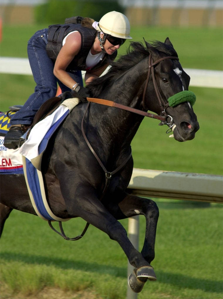Kentucky Derby, jockey, black racehorse, SD Phone Wallpaper