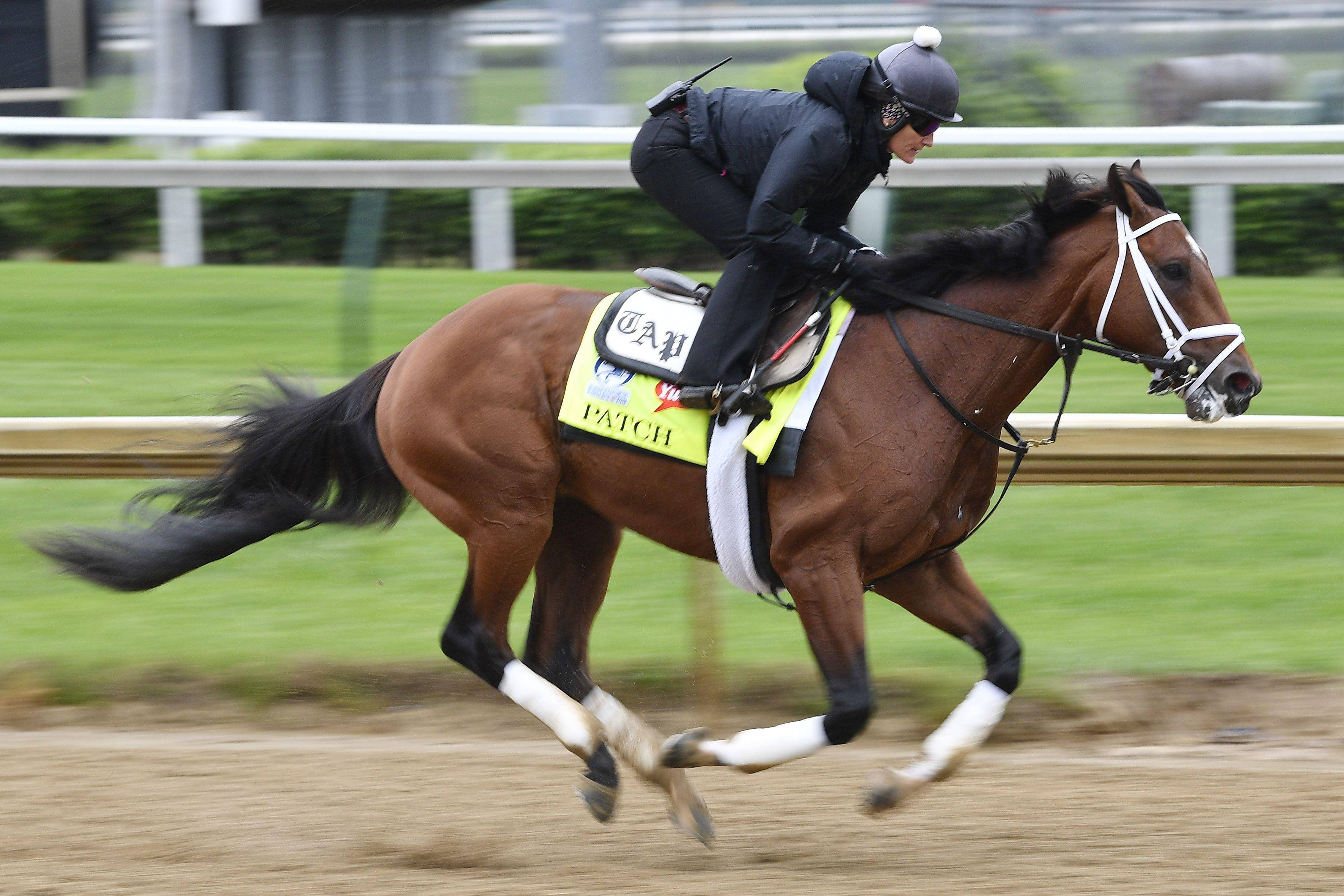 Kentucky Derby, jockey, chestnut racehorse, 2K Desktop Wallpaper