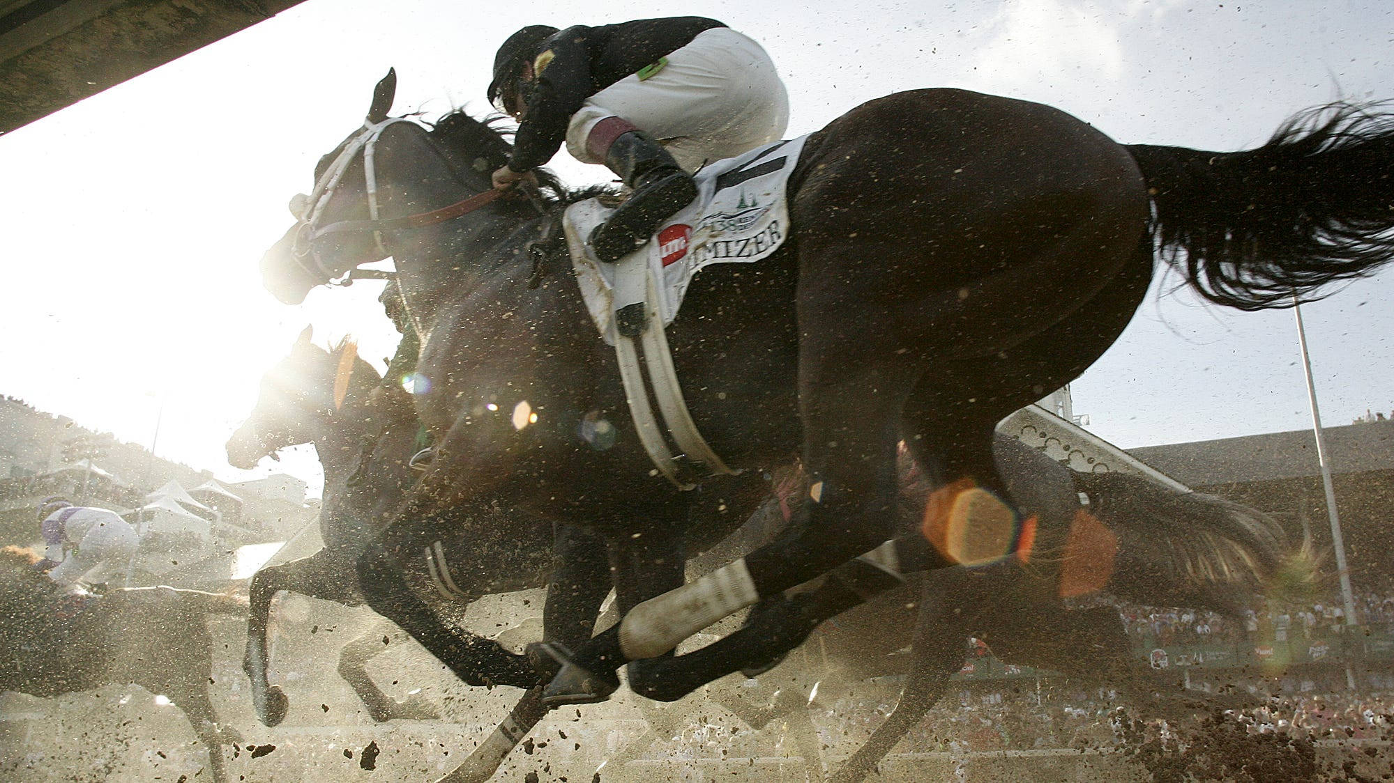 Kentucky Derby, jockey, dark horse, Full HD Desktop Wallpaper