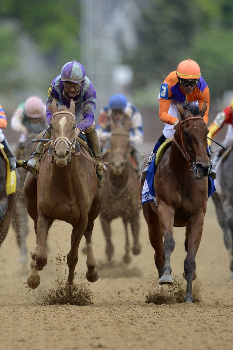 Kentucky Derby, thoroughbreds, dirt track, SD Phone Wallpaper