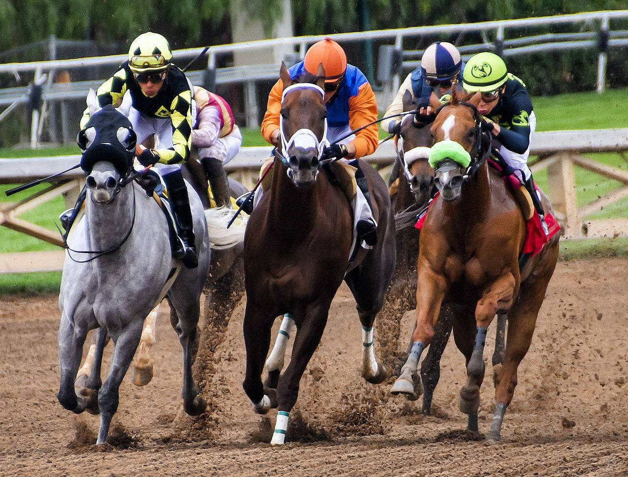 Kentucky Derby, jockeys, colorful silks, HD Desktop Wallpaper