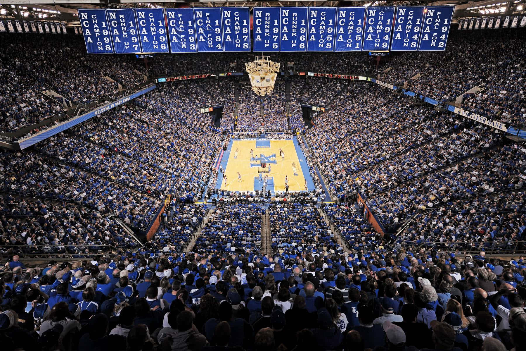 Kentucky Wildcats, basketball game, large arena, HD Desktop Wallpaper