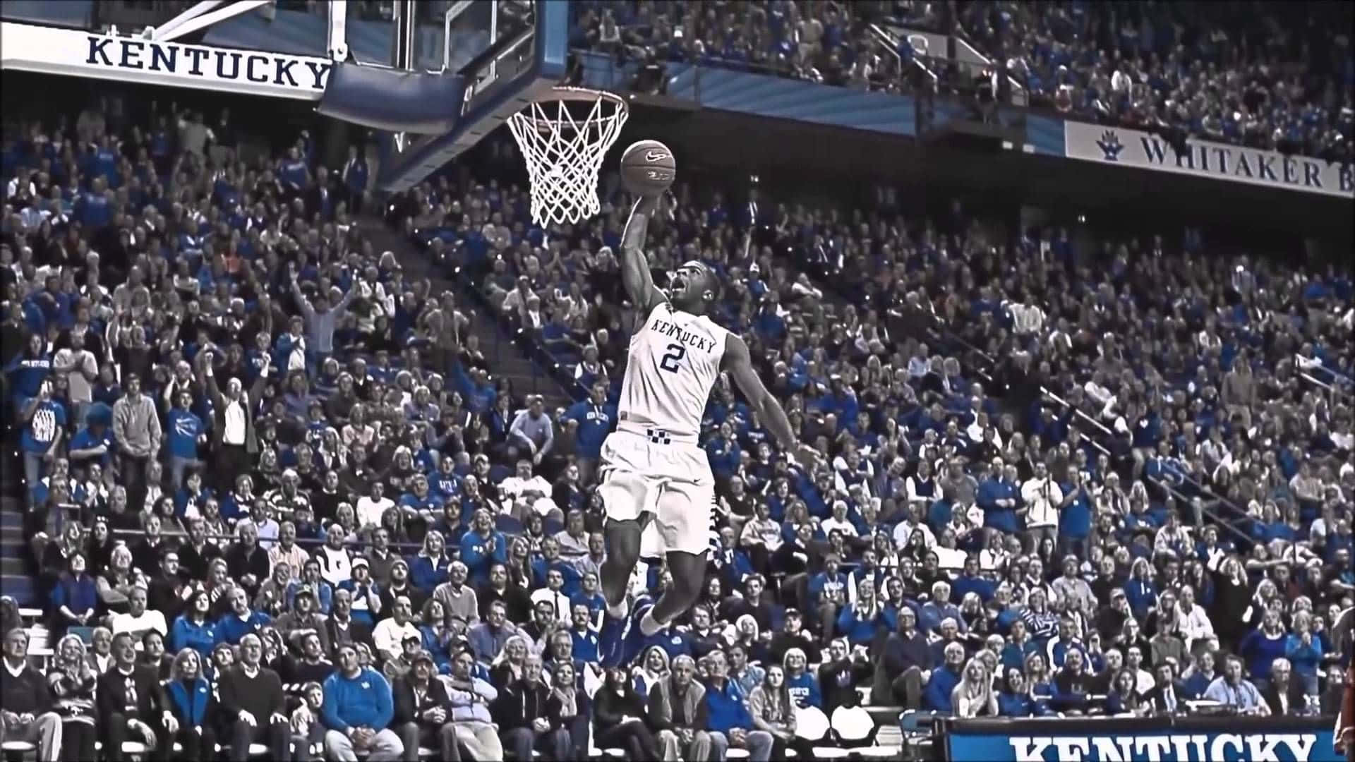 Kentucky Wildcats, white Kentucky jersey, basketball player, Full HD Desktop Wallpaper