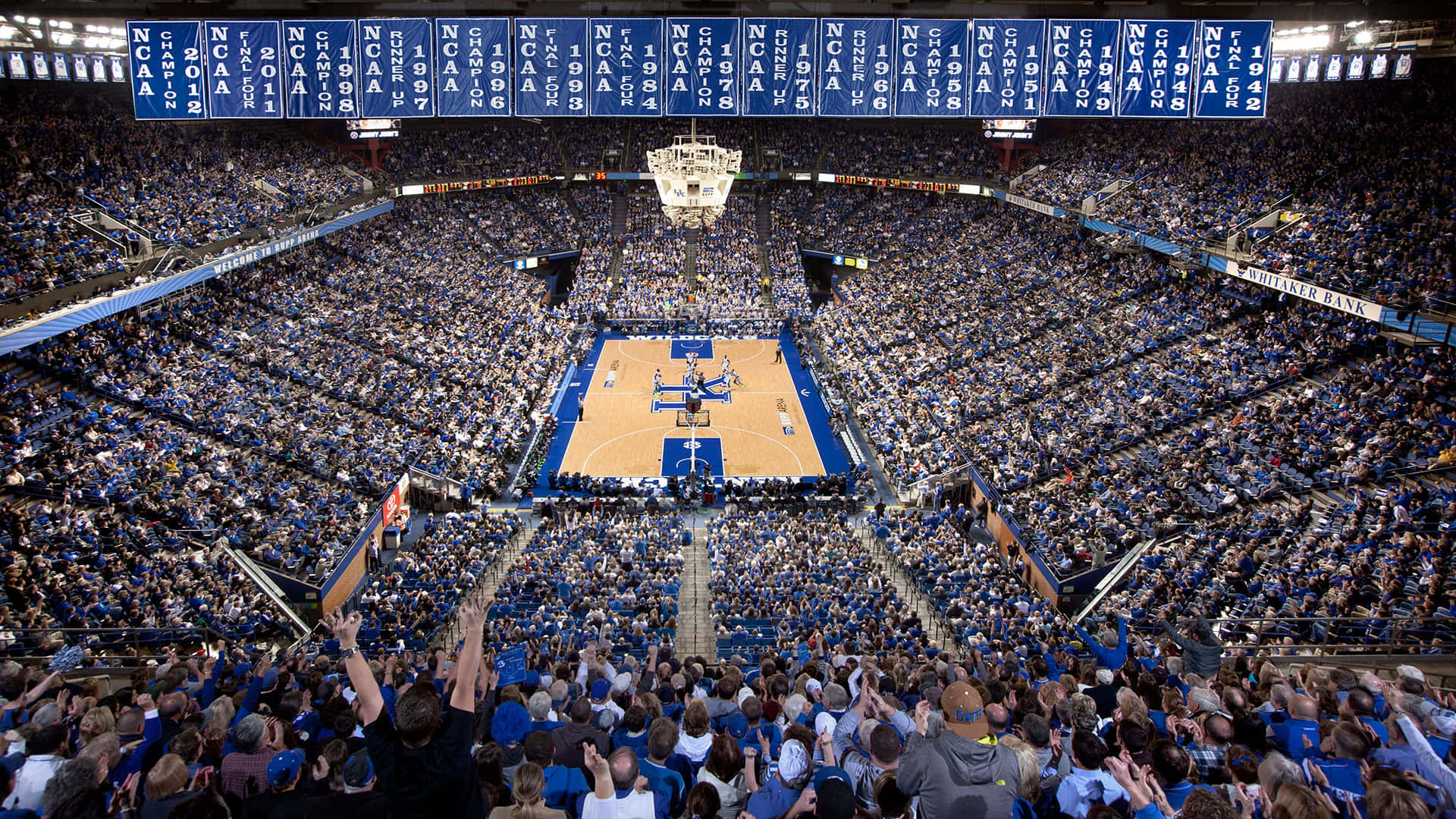 Kentucky Wildcats, basketball arena, blue-clad fans, Full HD Desktop Wallpaper
