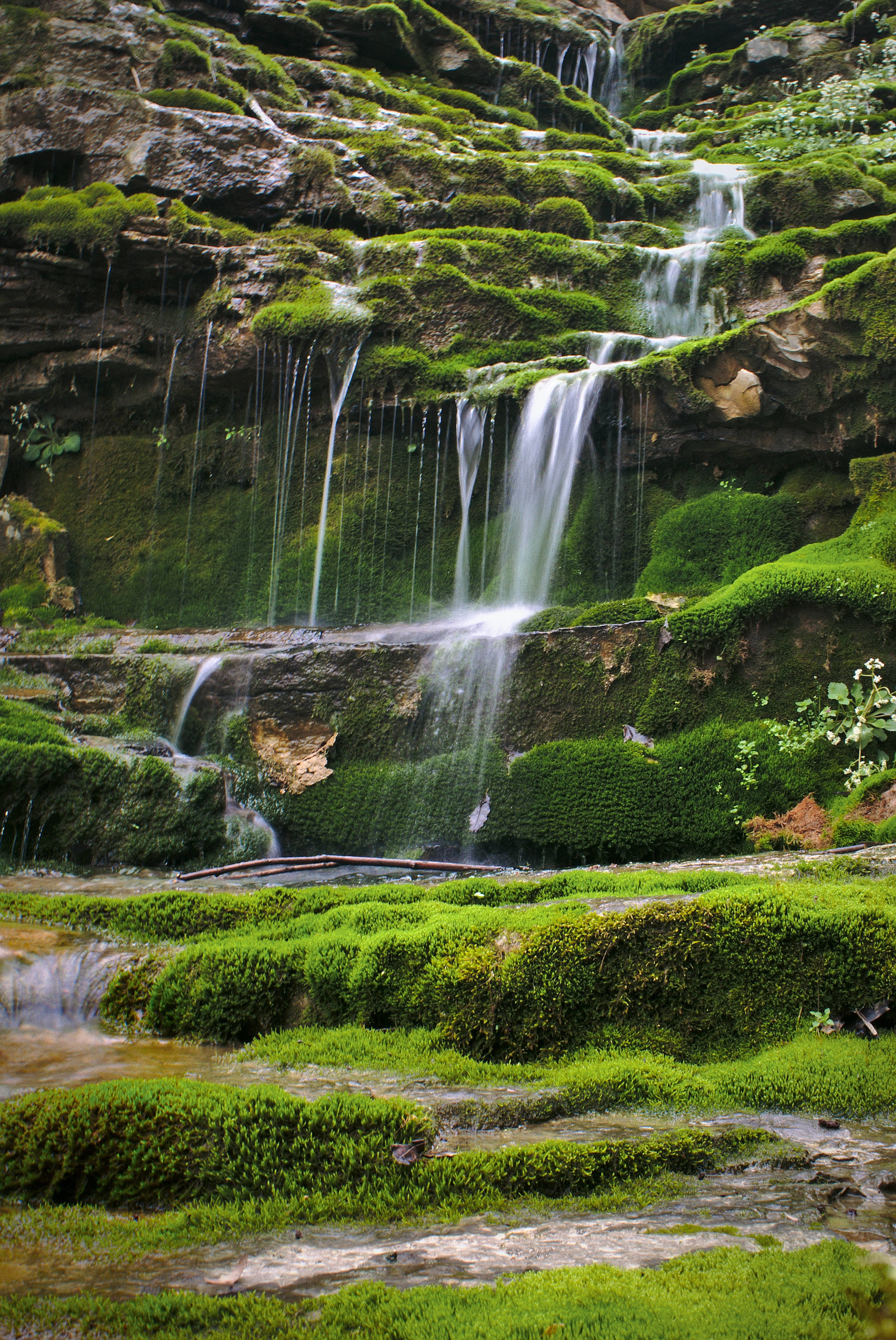 Kentucky, nature landscape, mossy rock tiers, 2K Phone Wallpaper