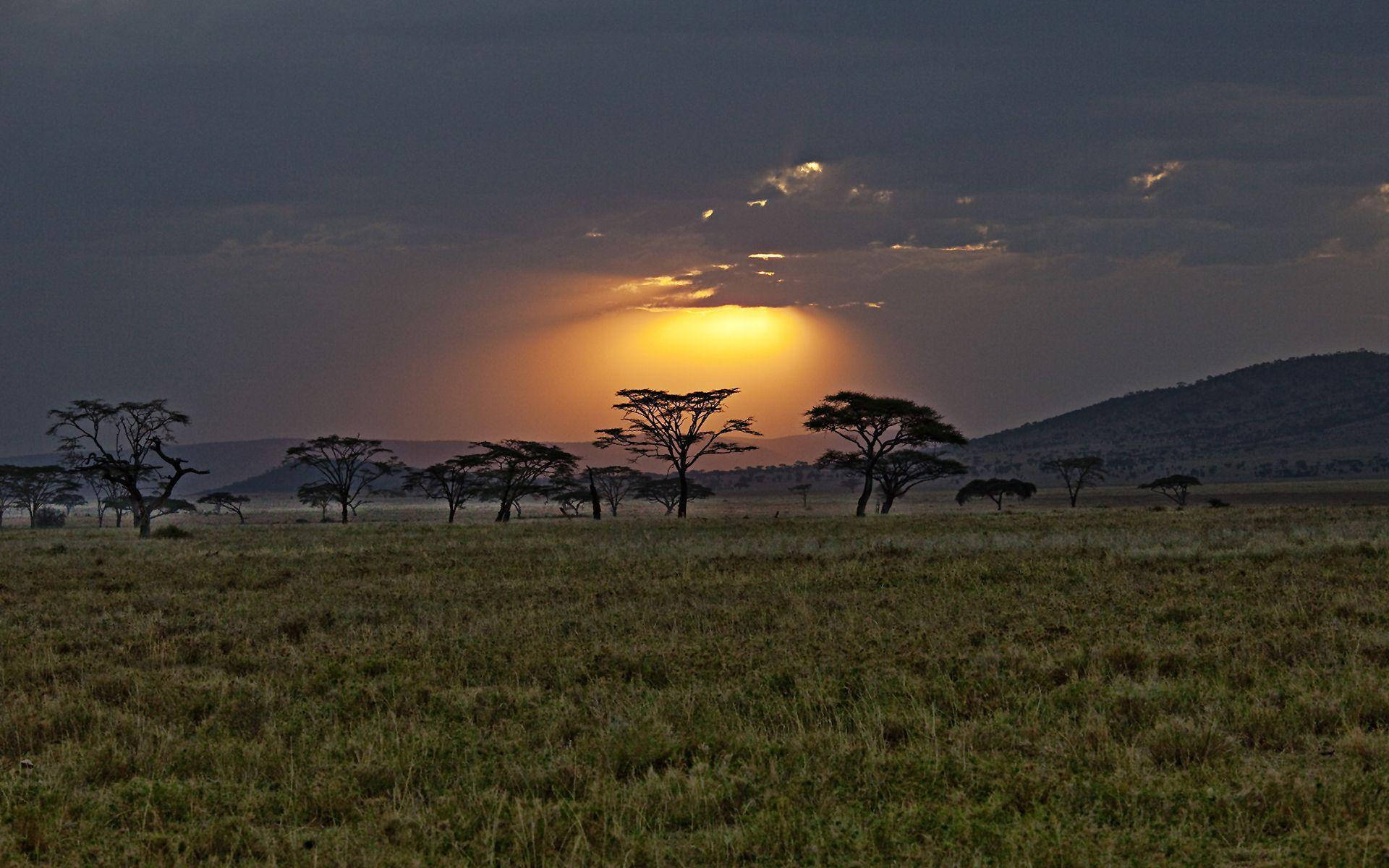 Kenya, safari, nature reserve, Full HD Desktop Wallpaper