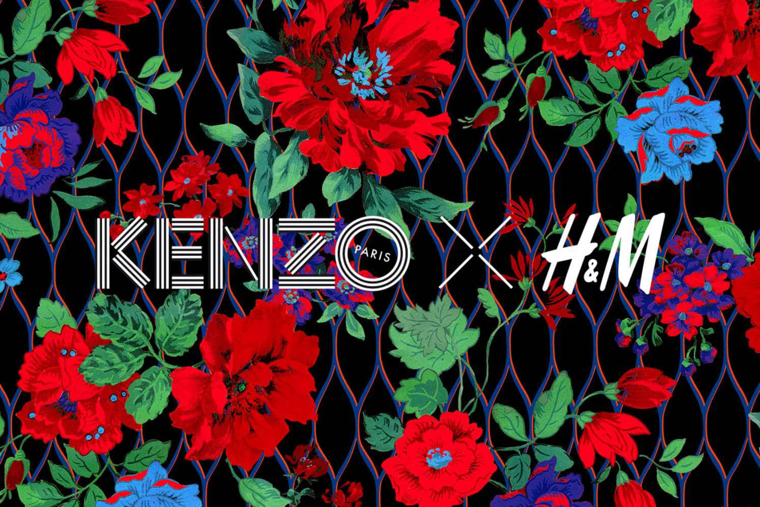Kenzo, H&M, Kenzo x H&M, HD Desktop Wallpaper
