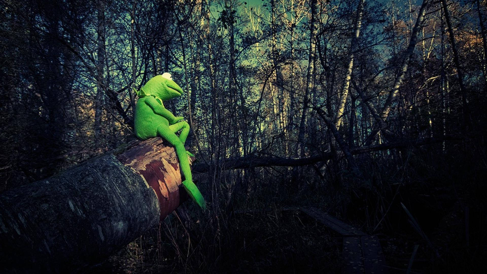 Kermit The Frog, forest, fallen log, Full HD Desktop Wallpaper