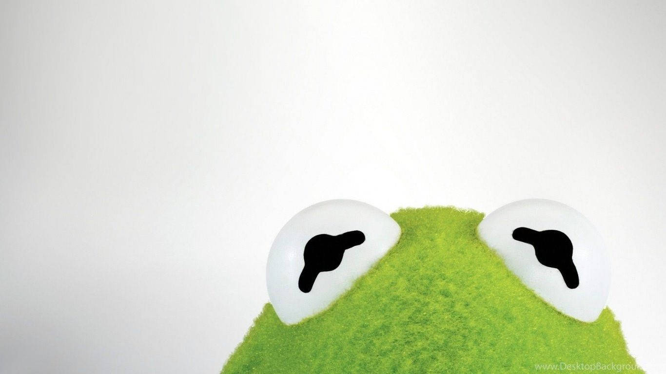 Kermit The Frog, large white eyes, bright green fuzzy surface, HD Desktop Wallpaper