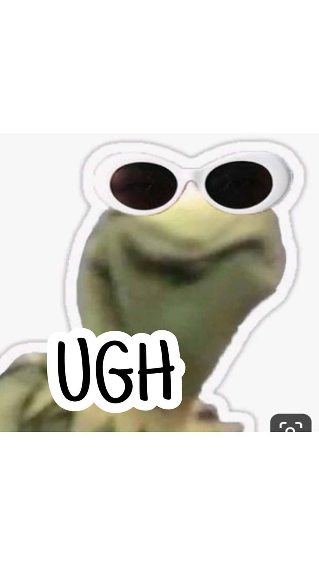 Kermit The Frog, green frog, white sunglasses, Full HD Phone Wallpaper