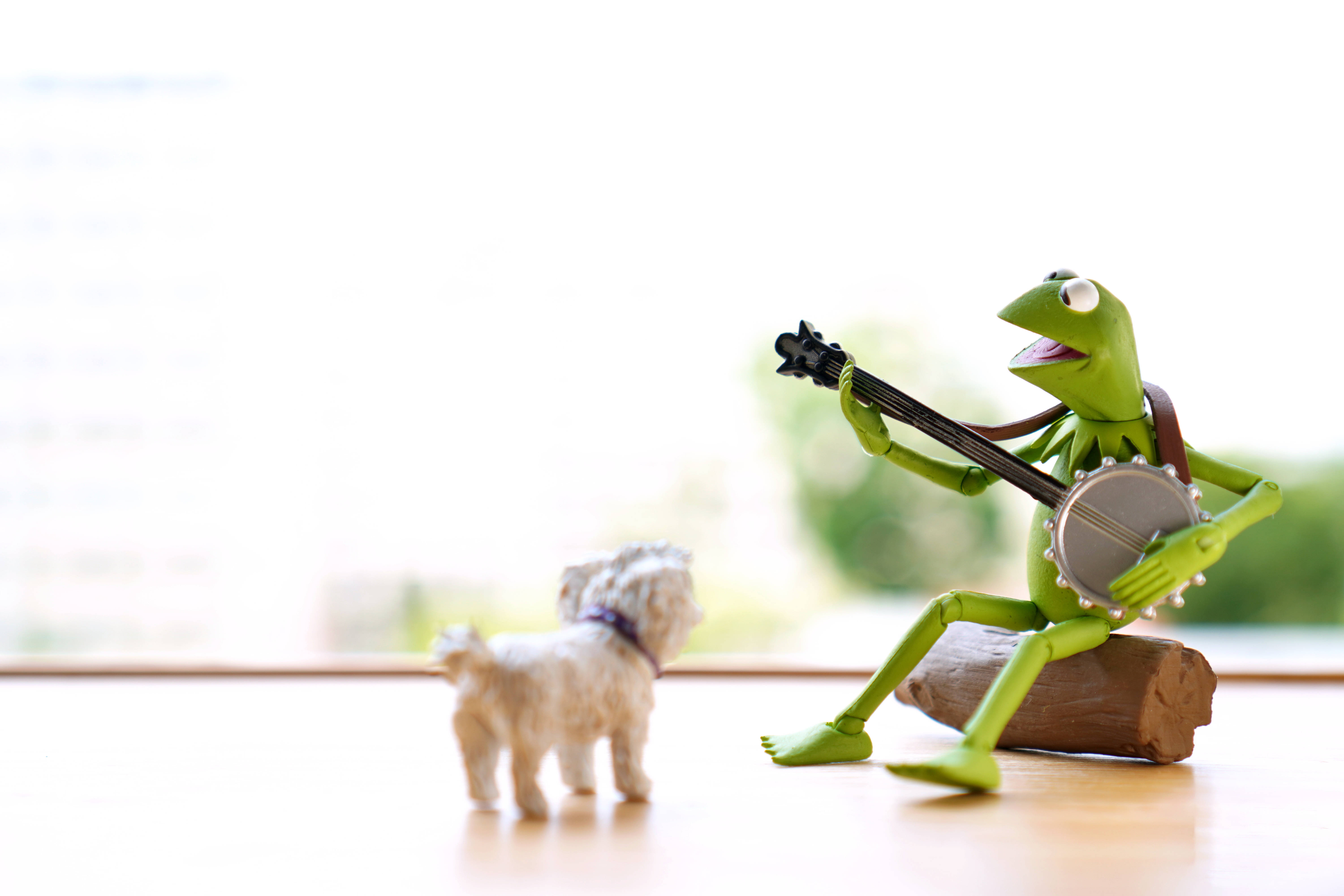 Kermit The Frog, banjo, white dog, 5K Desktop Wallpaper
