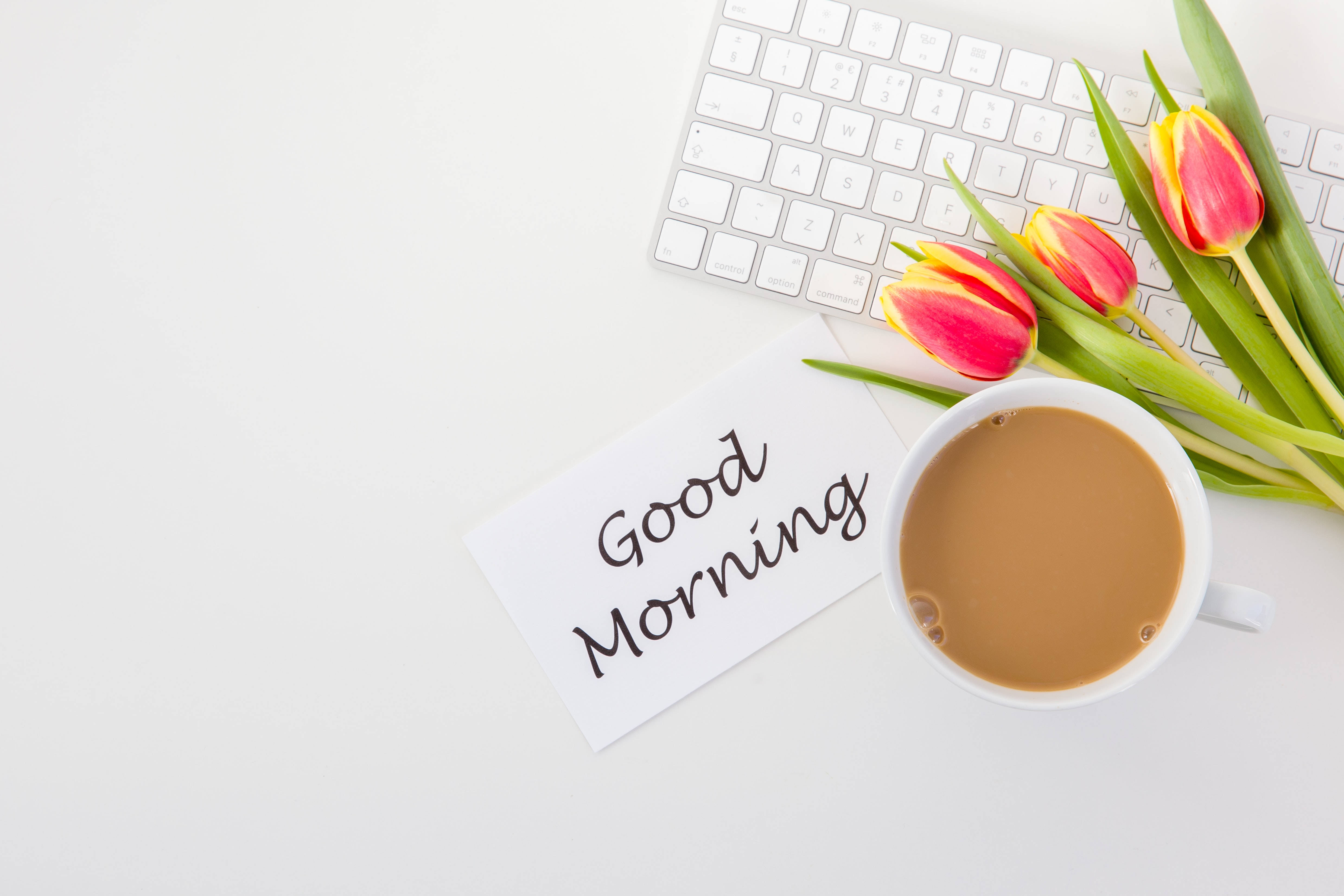 white desk, coffee cup, tulips, 4K Desktop Wallpaper