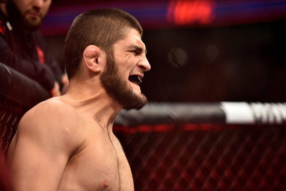 Khabib Nurmagomedov, red-lit octagon cage, mixed martial arts match, SD Desktop Wallpaper