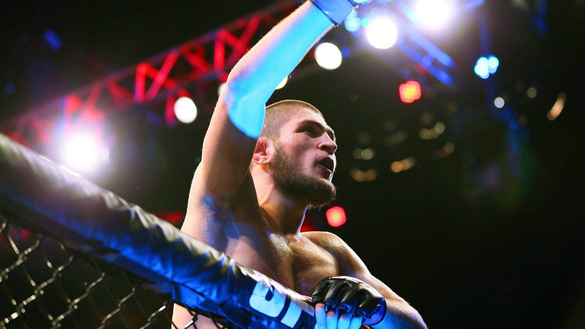 Khabib Nurmagomedov, winning shot, brightly lit octagon cage, Full HD Desktop Wallpaper