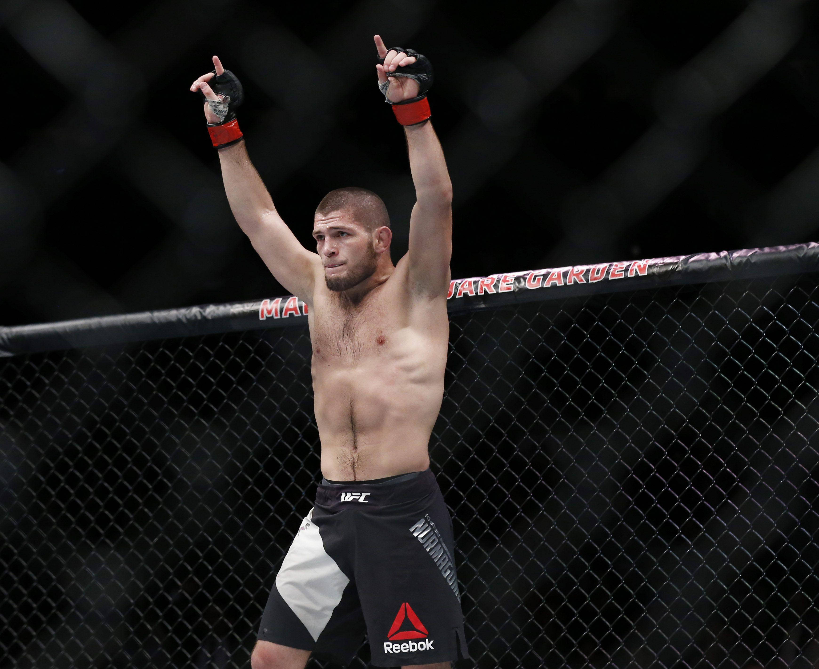 Khabib Nurmagomedov, octagon cage, dimly lit, 2K Desktop Wallpaper