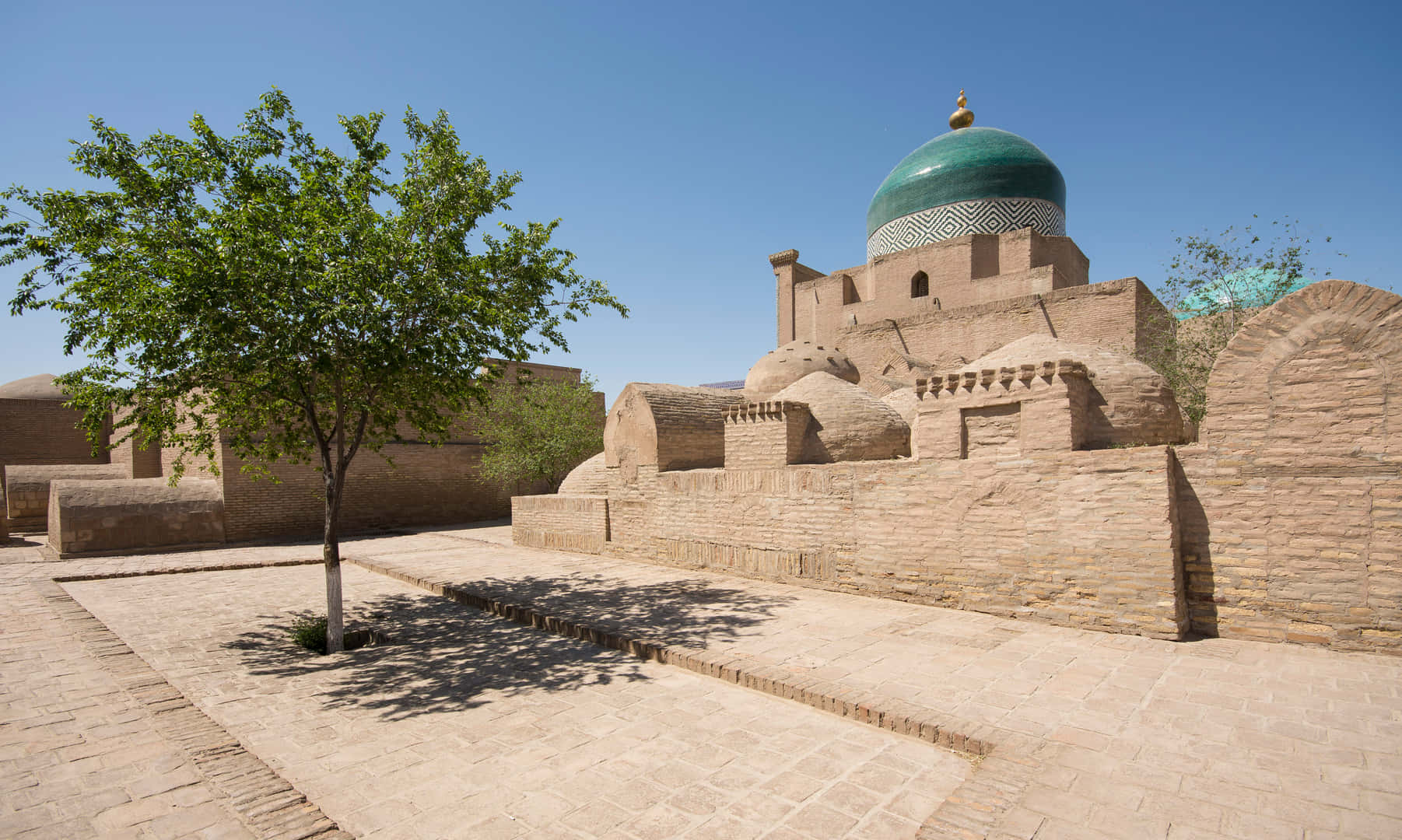 Khiva, single tree, sunlit courtyard, HD Desktop Wallpaper