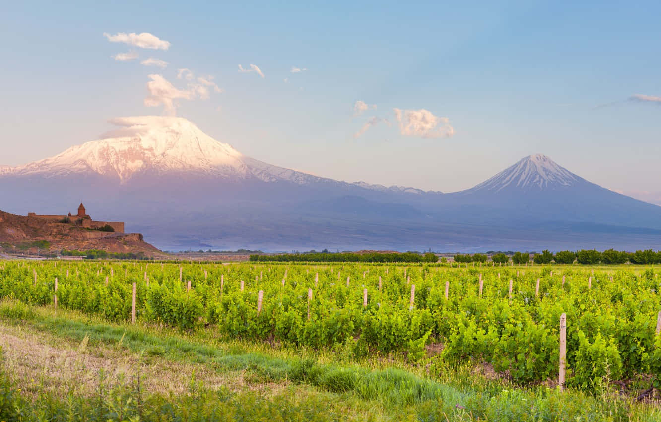 Khor Virap, snow-capped mountains, vibrant green vineyards, HD Desktop Wallpaper