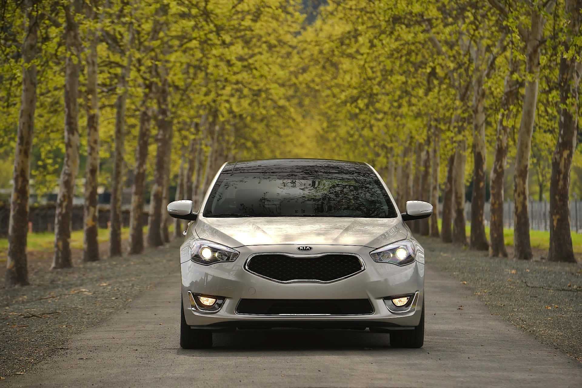 Kia Cadenza, silver, tree-lined gravel road, Full HD Desktop Wallpaper