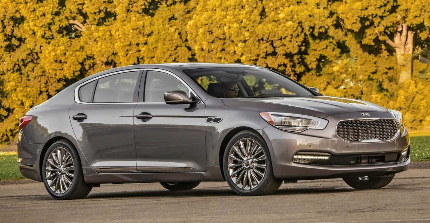 Kia K900, gray sedan, pavement, HD Desktop Wallpaper