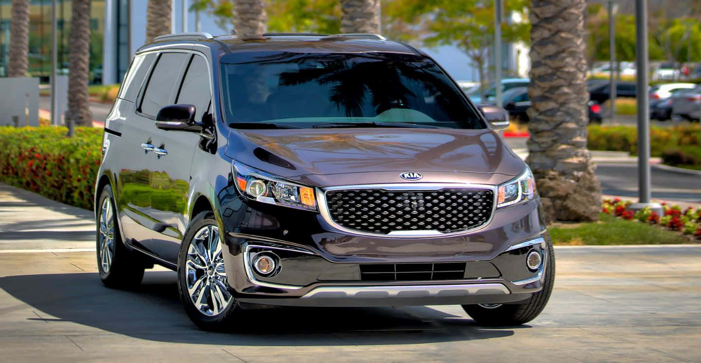 2021 Kia Sedona, metallic brown, palm tree-lined urban sidewalk, HD Desktop Wallpaper