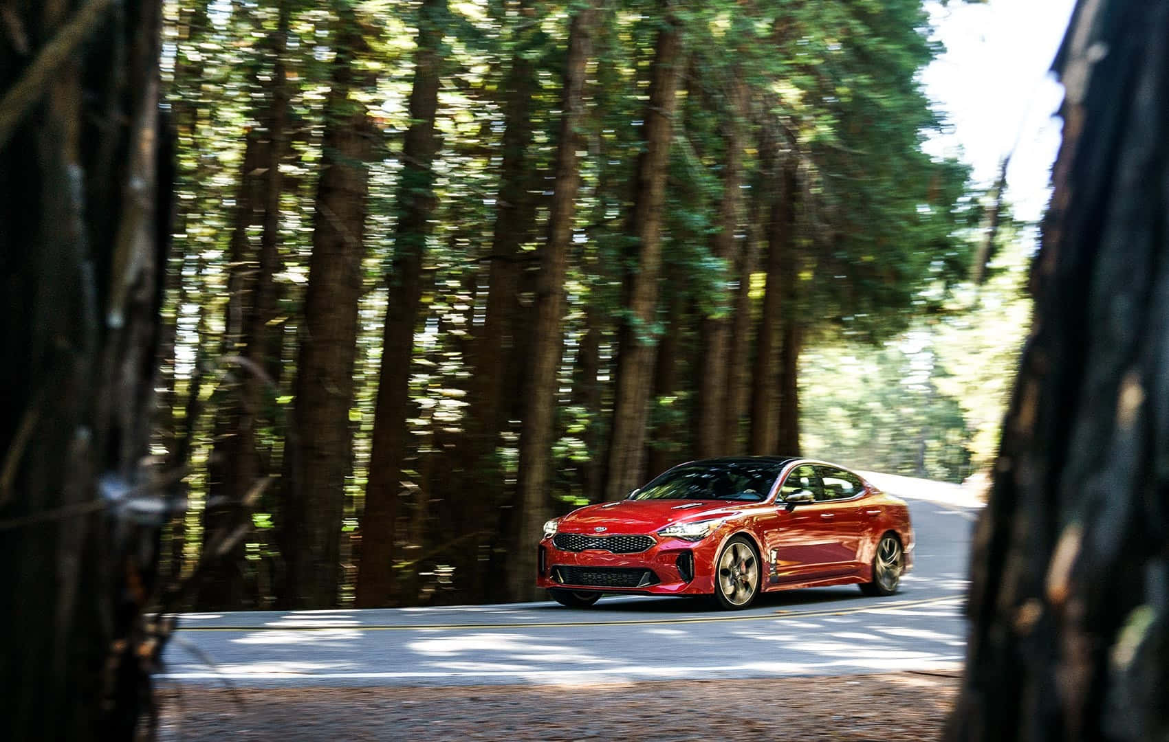 Kia Stinger, vibrant red, winding forest road, HD Desktop Wallpaper