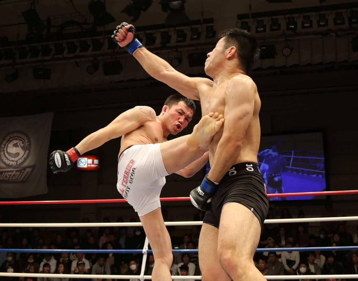 Fiery Kickboxing Martial Arts Competition, boxing ring, high kick, HD Desktop Wallpaper