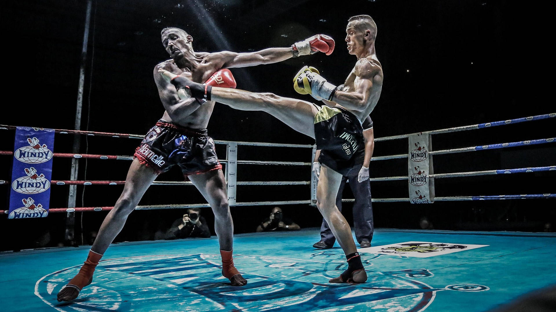 kickboxing, boxing ring, high kick, Full HD Desktop Wallpaper