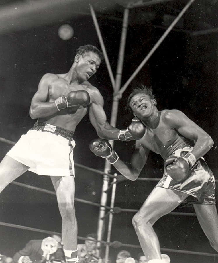 Kid Gavilan, boxers, gritty black and white ring, SD Phone Wallpaper