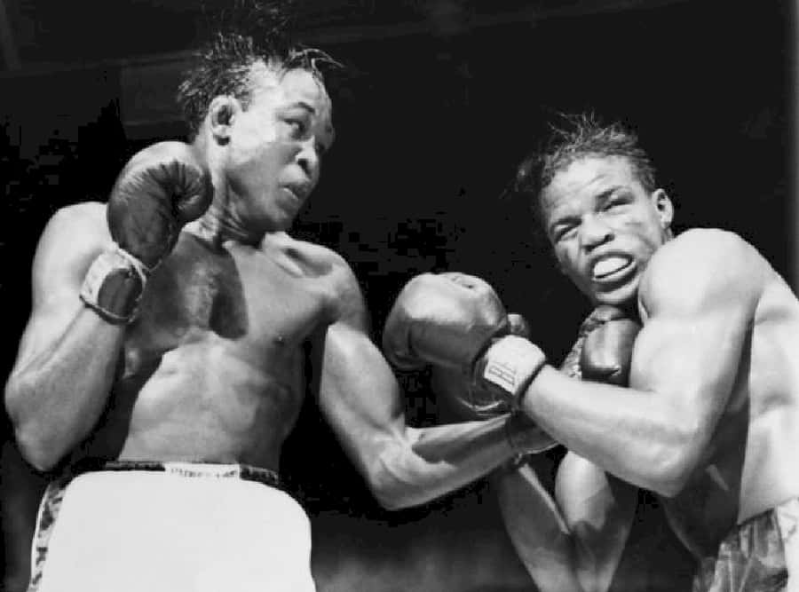 Kid Gavilan, surprised punch, boxers, SD Desktop Wallpaper