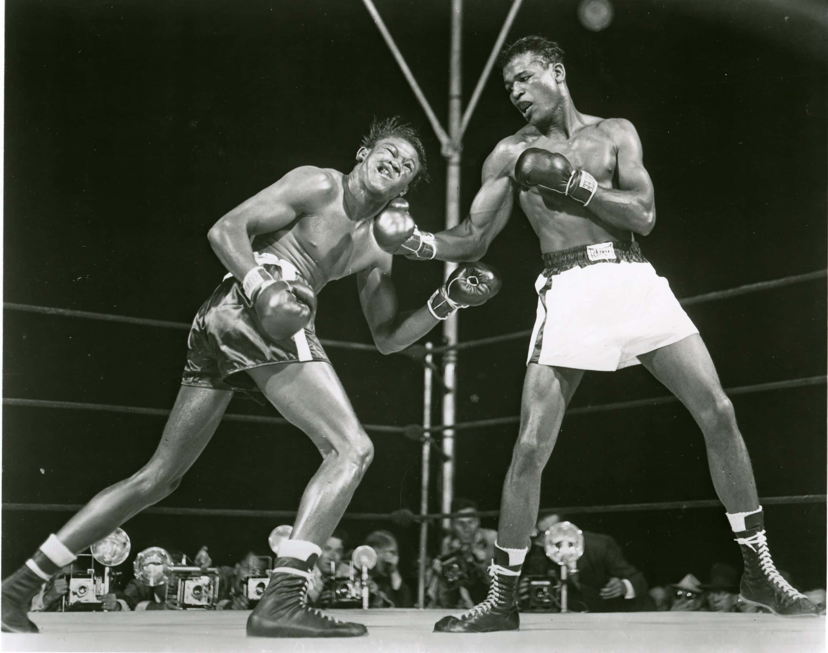 Kid Gavilan, black and white ring scene, boxers, 2K Desktop Wallpaper