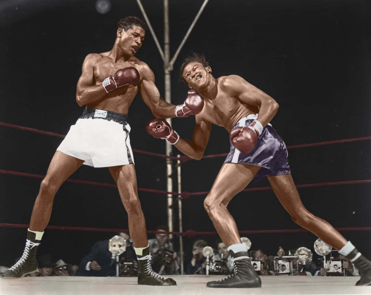 Kid Gavilan, colored boxing match, ring, SD Desktop Wallpaper
