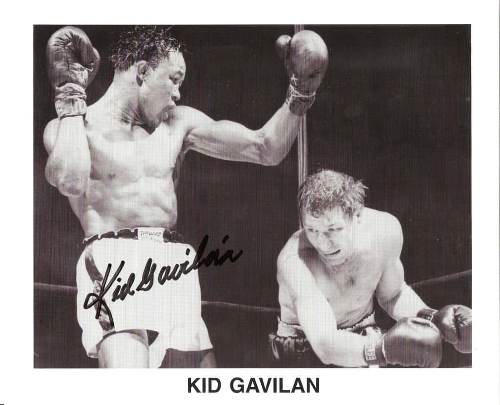 Kid Gavilan, ring, boxer, SD Desktop Wallpaper