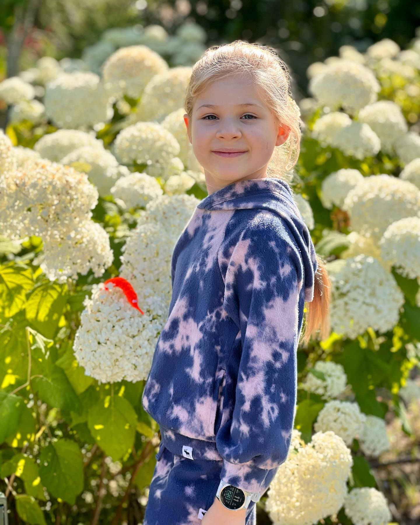 Kids Diana Show, snowball hydrangea, blue and pink tie-dye hoodie, HD Phone Wallpaper